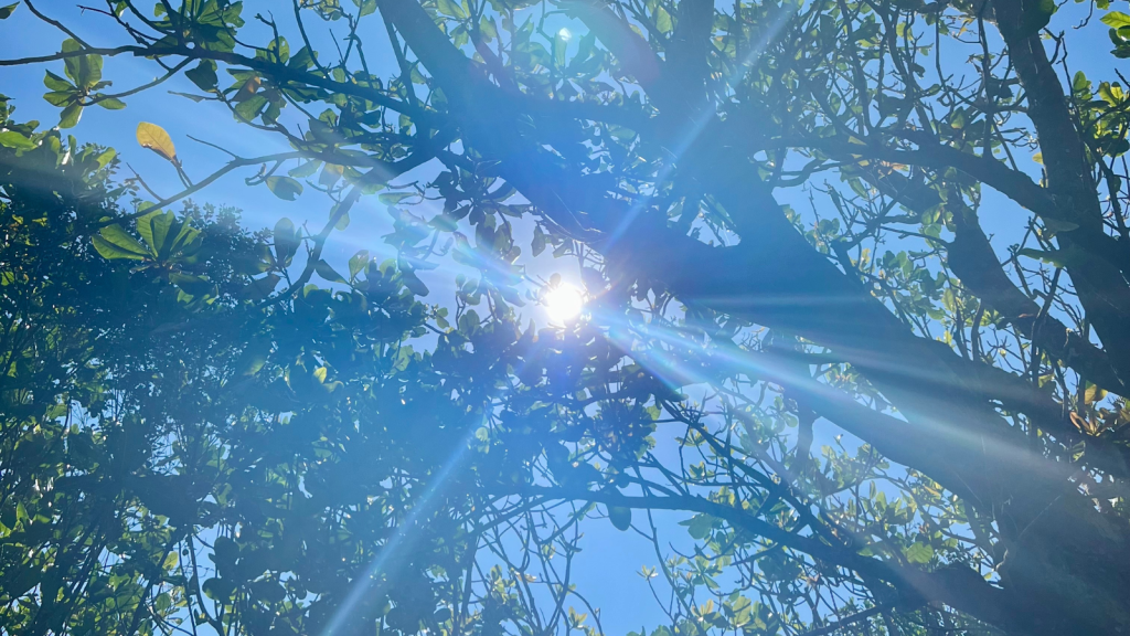 What’s Still Beautiful, Even When Everything Feels Too&nbsp;Much